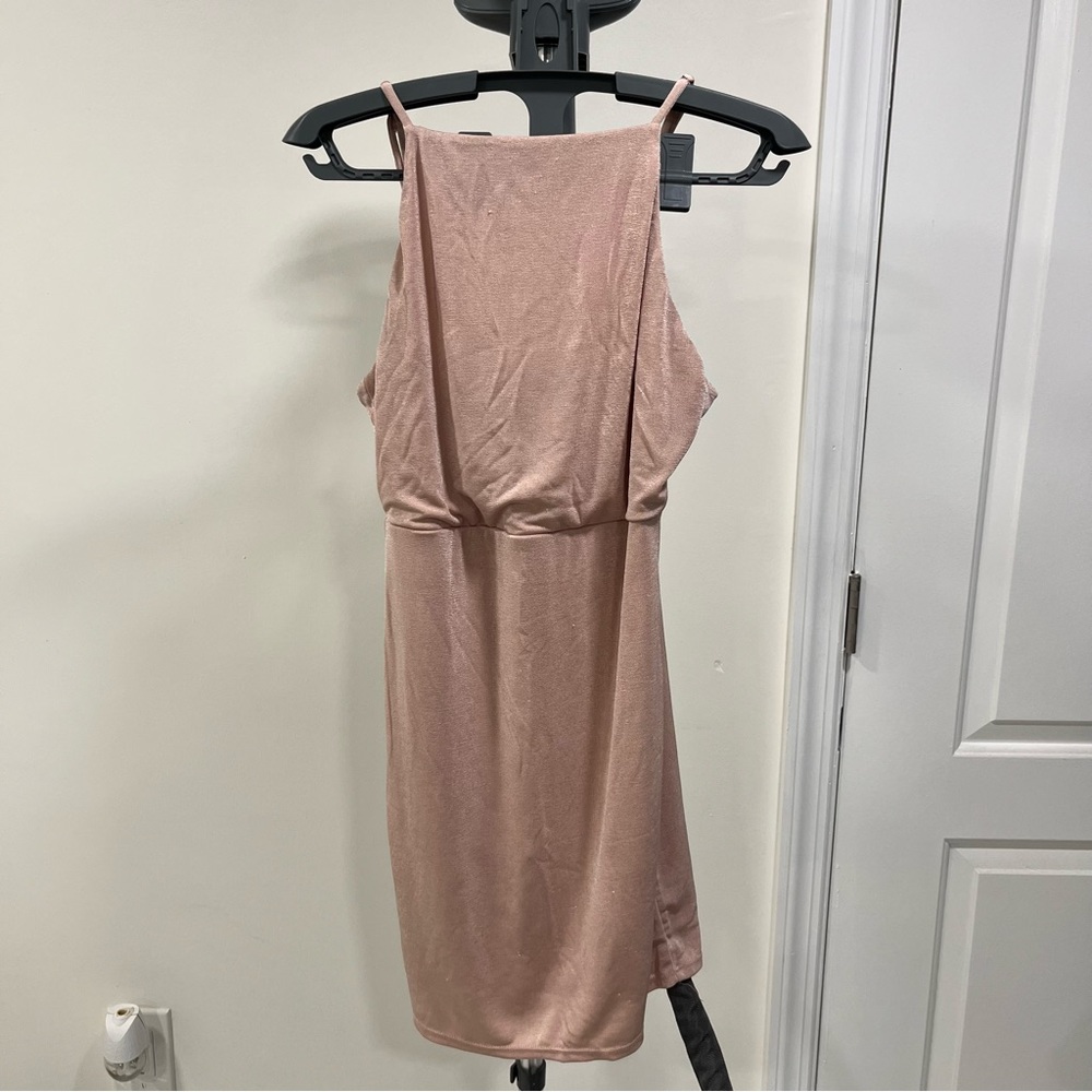 Ballet Pink F21 Dress